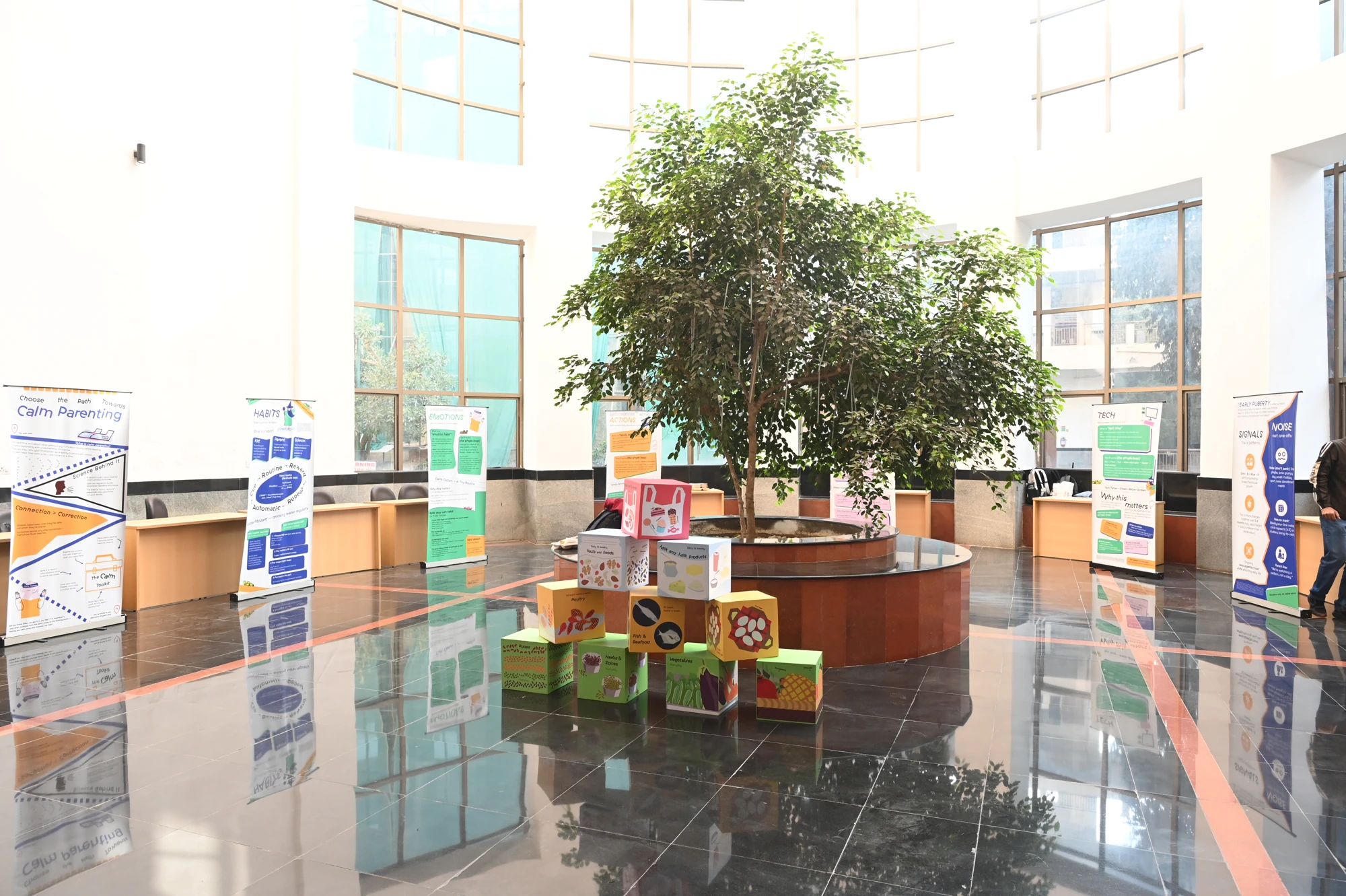The wider team’s knowledge-zone installation, with topic displays arranged around a central tree